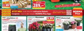 Norma angebote 20.04.2026