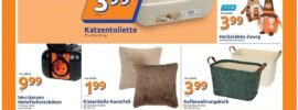 Action Angebote 26.08.2026